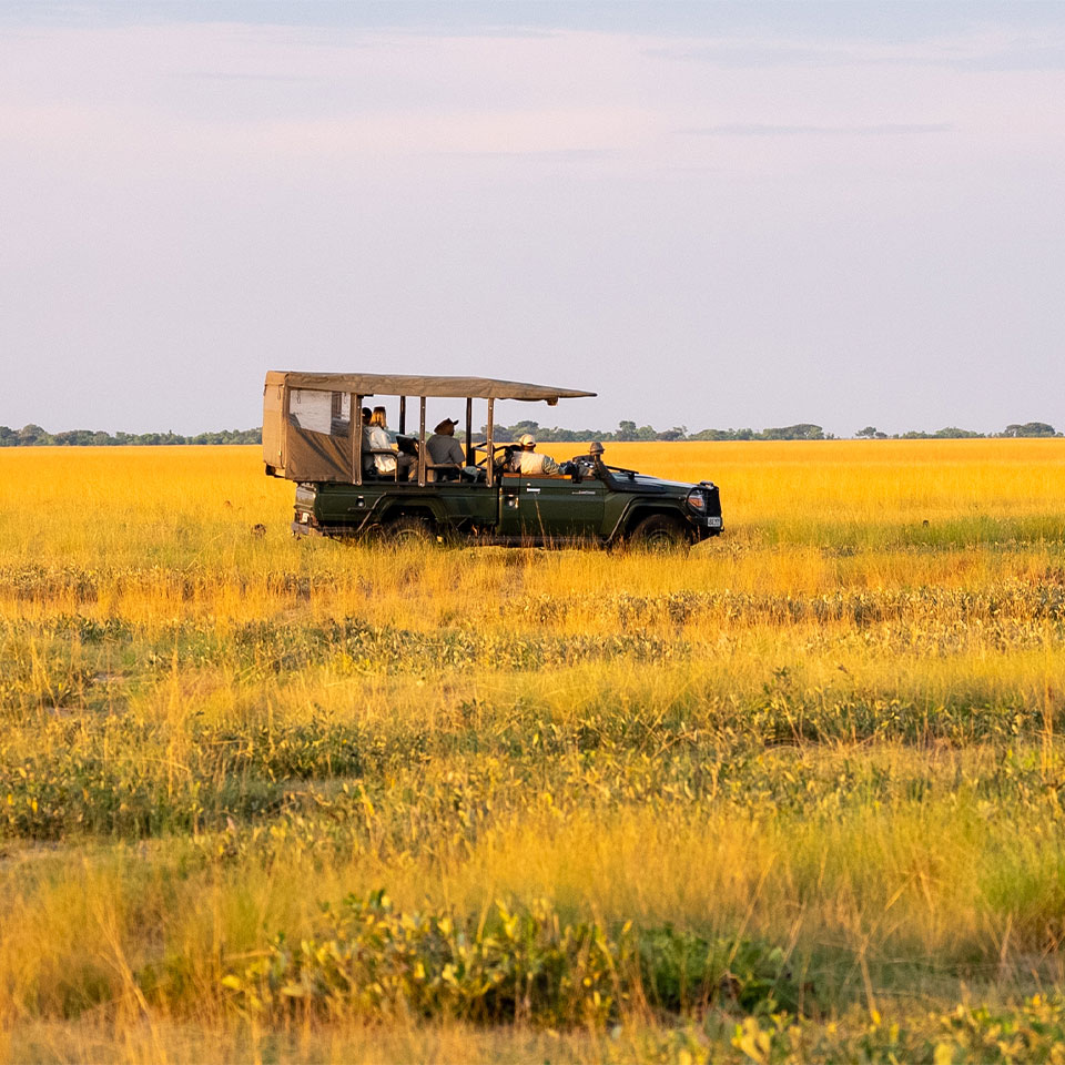 Liuwa Plan game drive