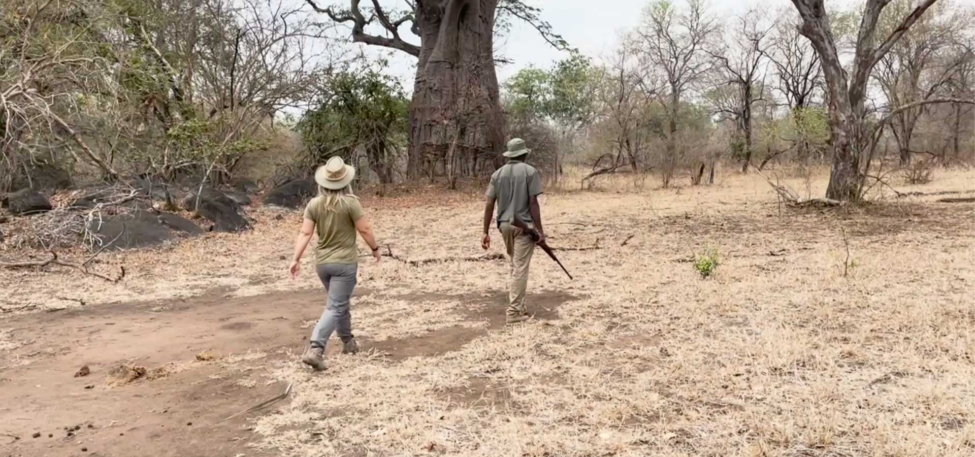 walking safari