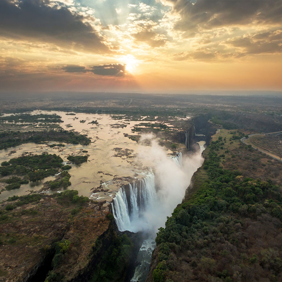 Zambian safari