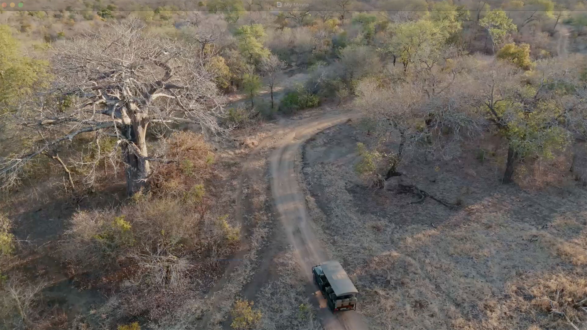 African Parks