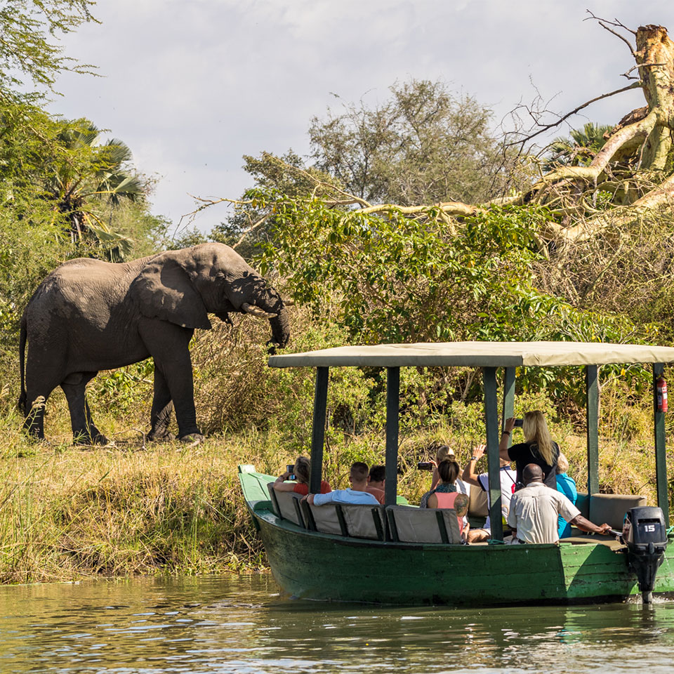 Liwonde safari
