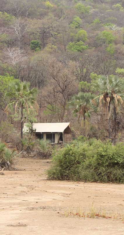 responsible safari camps
