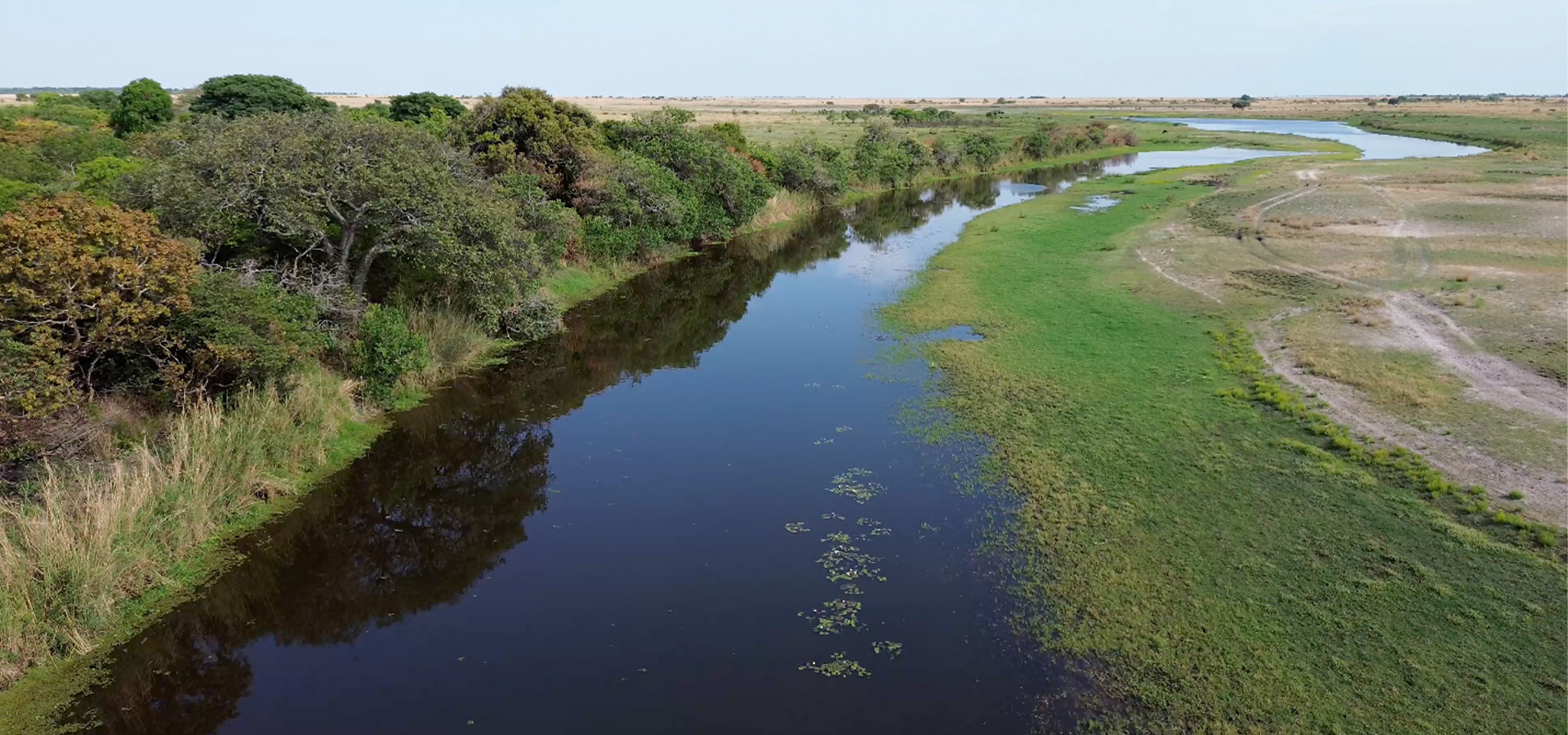Liuwa Plain National Park Zambia