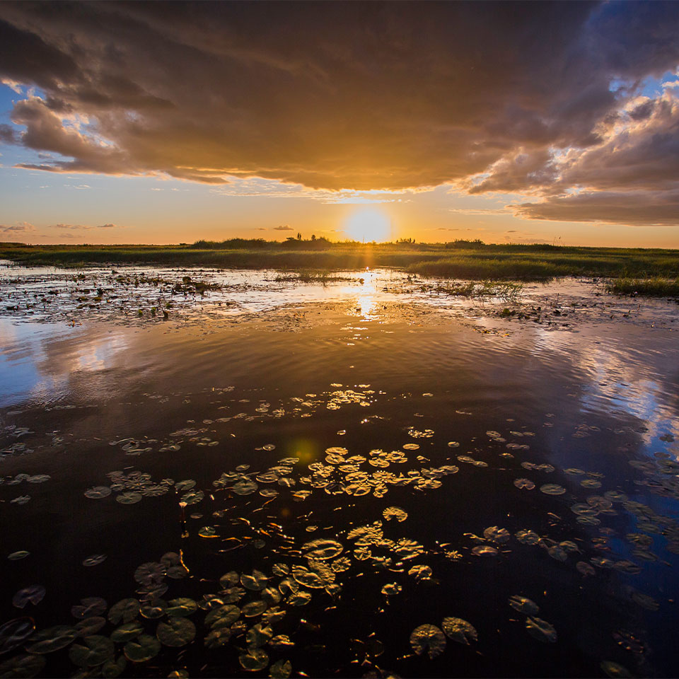Bangweulu safari