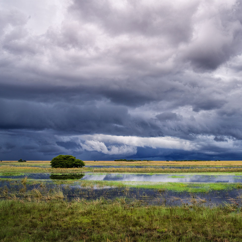 Liuwa Plain safari