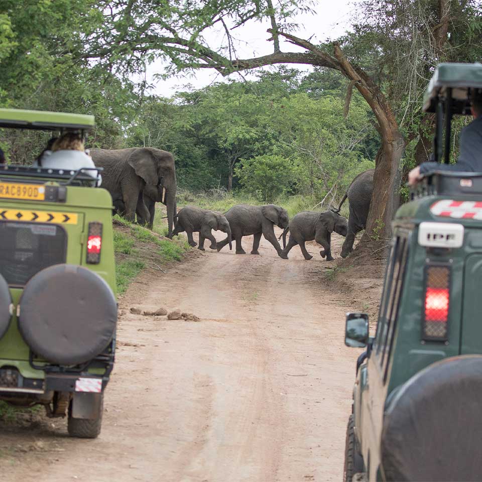 Akagera game drive safari